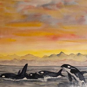 Original Watercolor 16x20 Orca Pod